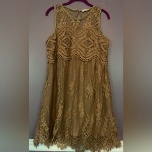Taupe Lace Dress (Never Worn)